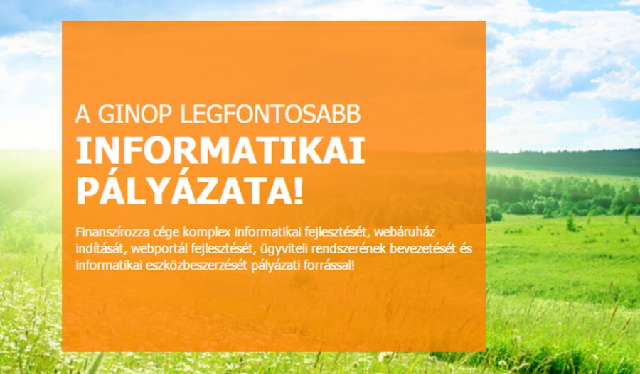 Komplex v&aacute;llalati informatikai fejleszt&eacute;sek &eacute;s web&aacute;ruh&aacute;z ind&iacute;t&aacute;s t&aacute;mogat&aacute;sa