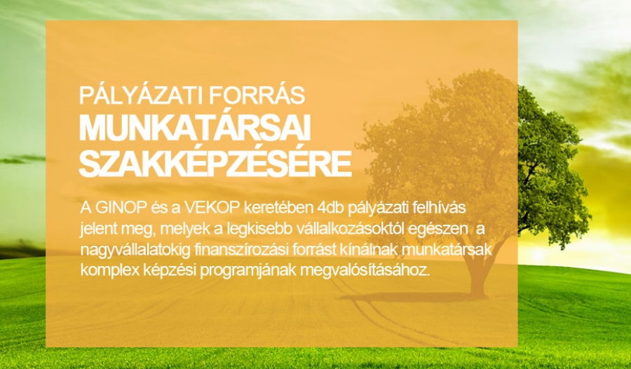 Finansz&iacute;rozza munkat&aacute;rsai k&eacute;pz&eacute;seinek k&ouml;lts&eacute;g&eacute;t p&aacute;ly&aacute;zati forr&aacute;ssal!