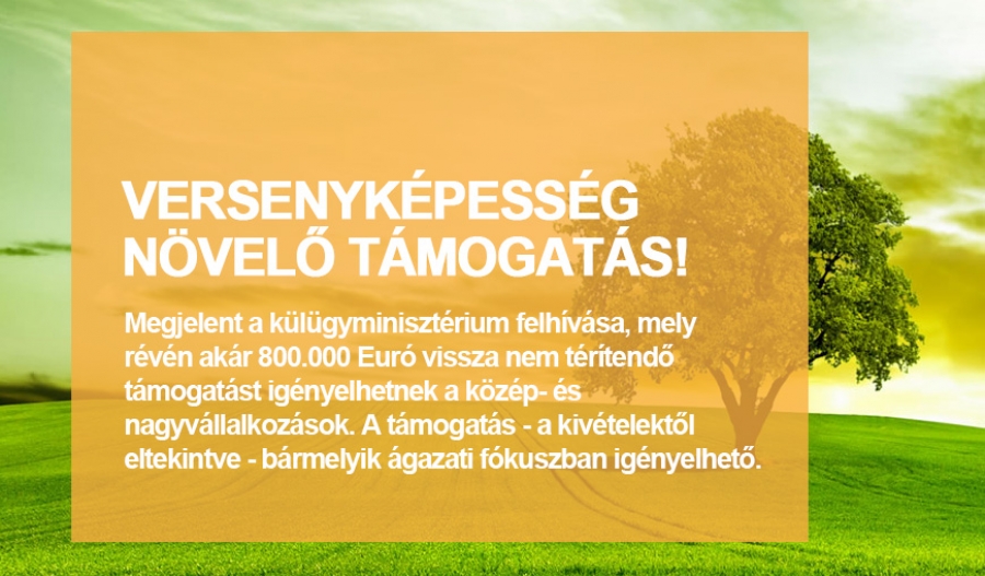 Beruh&aacute;z&aacute;s &ouml;szt&ouml;nző t&aacute;mogat&aacute;s k&ouml;zepes &eacute;s nagyv&aacute;llalkoz&aacute;soknak