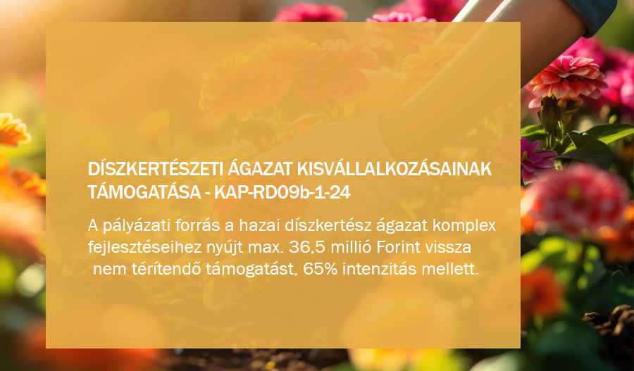 KAP-RD09b-1-24 - D&iacute;szkert&eacute;szeti &aacute;gazat kisv&aacute;llalkoz&aacute;sainak t&aacute;mogat&aacute;sa