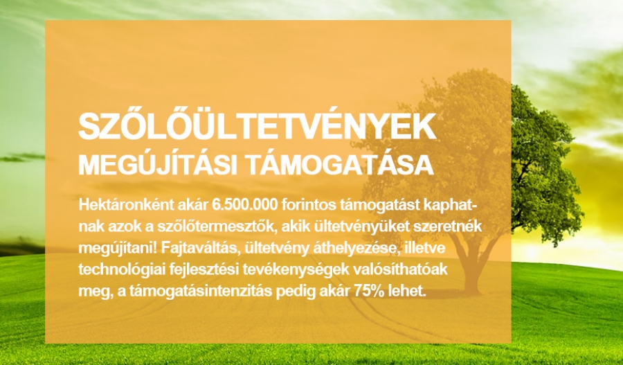 Szőlő&uuml;ltetv&eacute;nyek meg&uacute;j&iacute;t&aacute;si t&aacute;mogat&aacute;sa