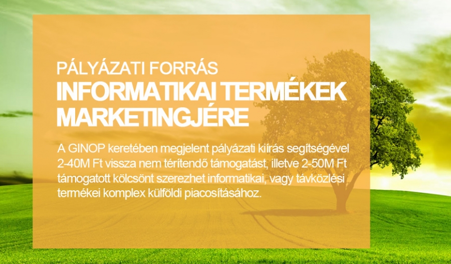 Informatikai term&eacute;kek marketingje - p&aacute;ly&aacute;zati forr&aacute;ssal!