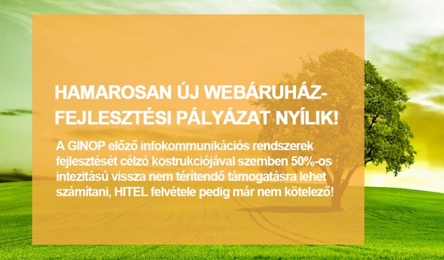 Komplex v&aacute;llalati digit&aacute;lis megold&aacute;sok, szolg&aacute;ltat&aacute;sok bevezet&eacute;s&eacute;nek c&eacute;lzott t&aacute;mogat&aacute;sa - Hamarosan &uacute;j webfejleszt&eacute;st t&aacute;mogat&oacute; p&aacute;ly&aacute;zat ny&iacute;lik