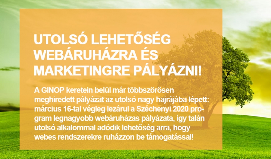 Utols&oacute; lehetős&eacute;g Web&aacute;ruh&aacute;zra &eacute;s marketingre p&aacute;ly&aacute;zni!